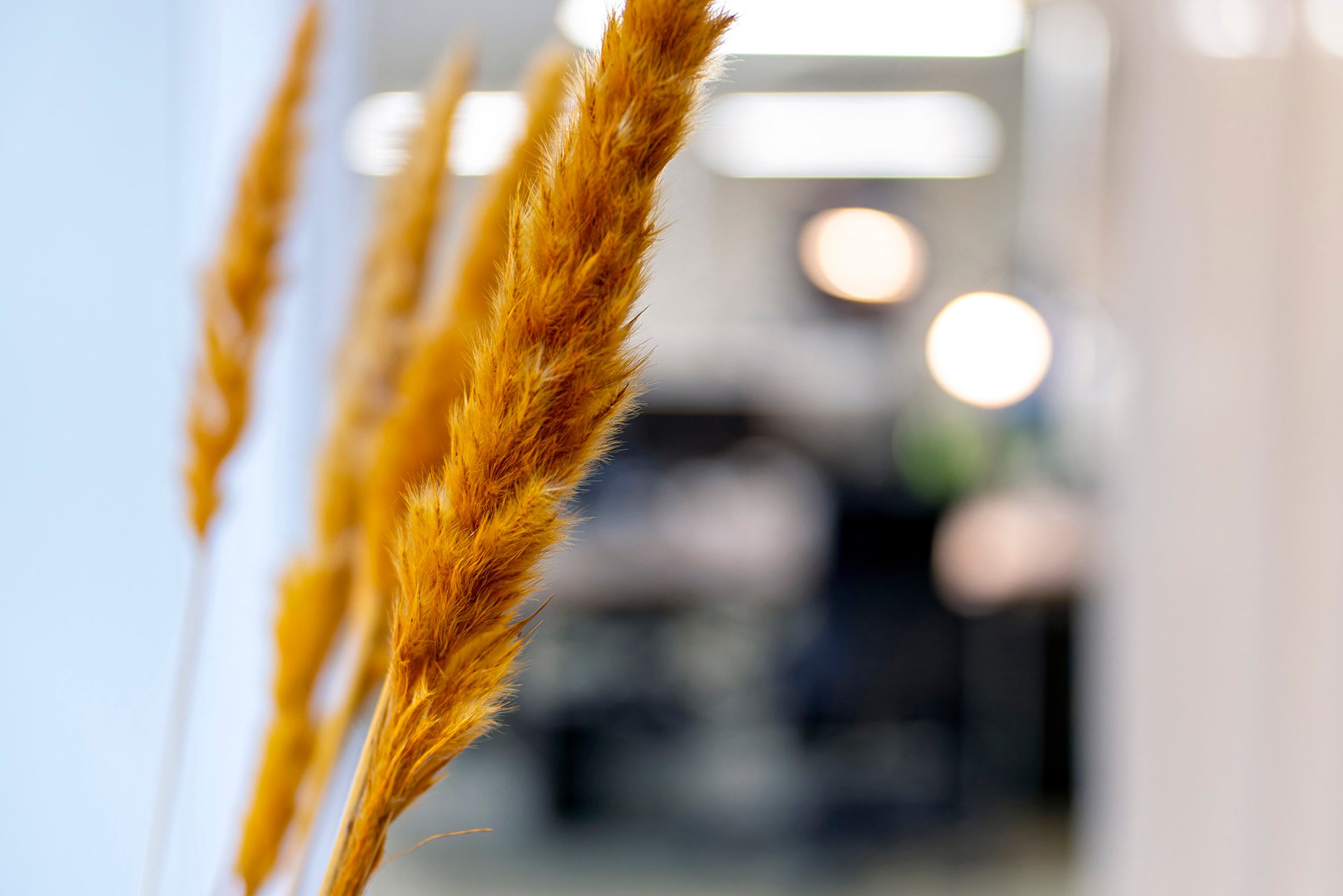 Blumendekoration im Büro